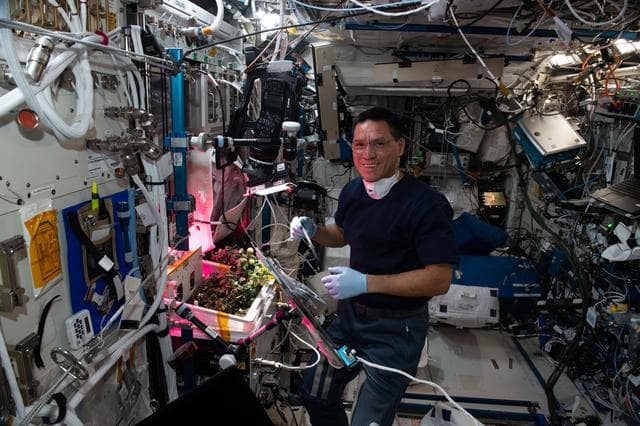 NASA image: iss068e017257