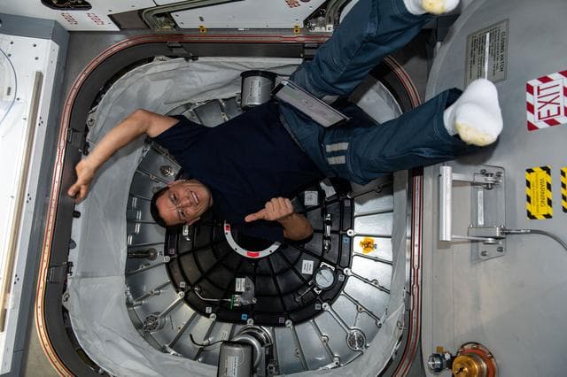 NASA image: iss068e017315