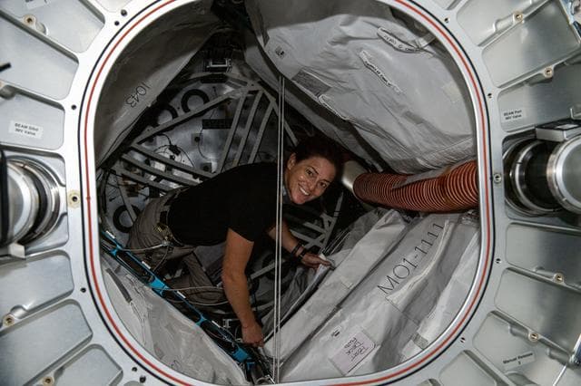 NASA image: iss068e017323