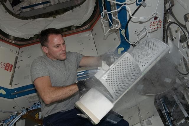 NASA image: iss068e018995