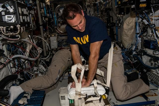 NASA image: iss068e019662