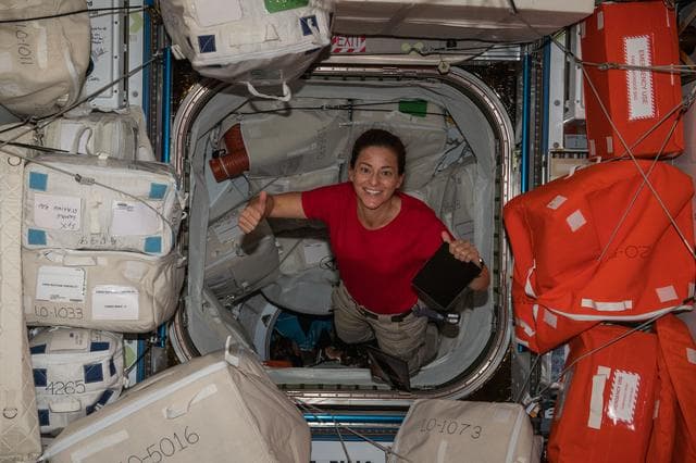 NASA image: iss068e020519