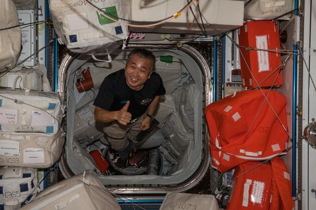 NASA image: iss068e020523