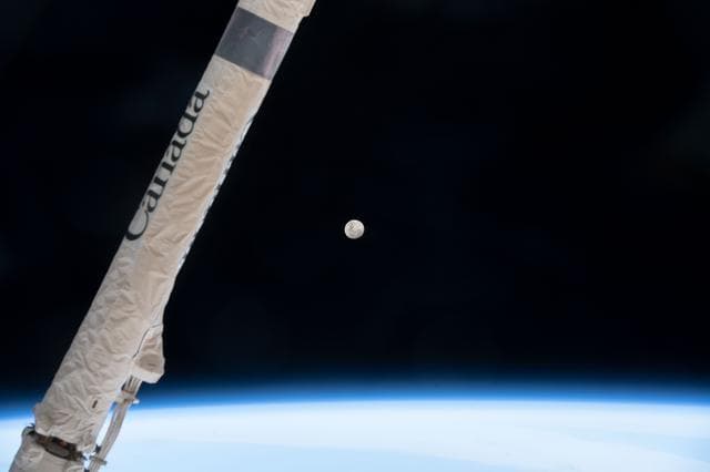 NASA image: iss068e020765