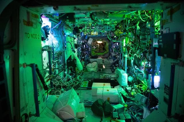 NASA image: iss068e022293