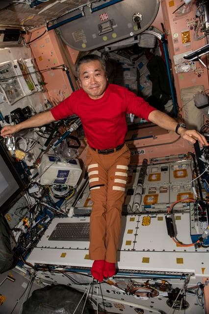 NASA image: iss068e023651