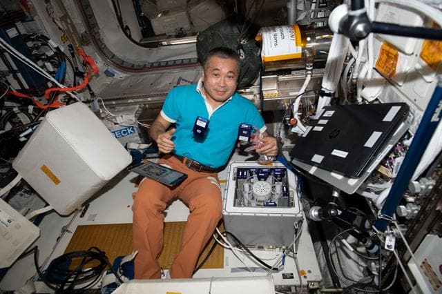 NASA image: iss068e024849_alt
