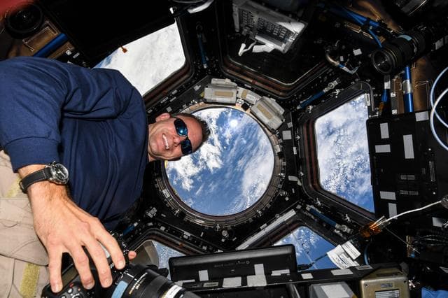 NASA image: iss068e025344