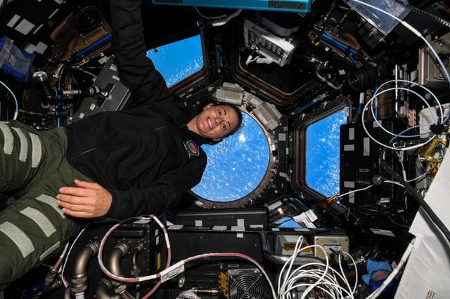 NASA image: iss068e025351