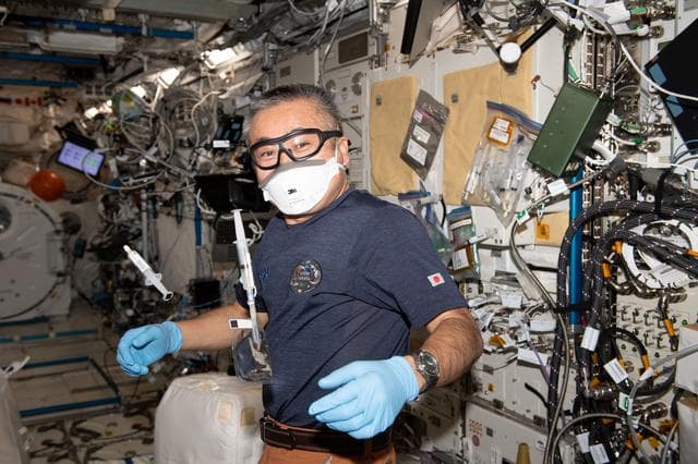NASA image: iss068e028286