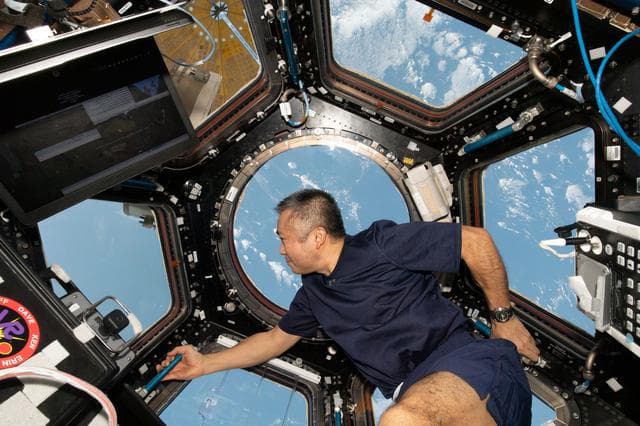 NASA image: iss068e029146