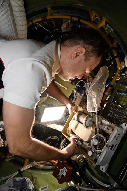 NASA image: iss068e029377