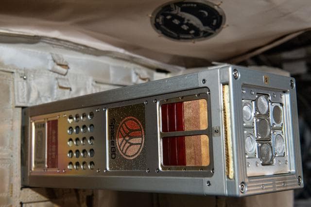 NASA image: iss068e032276