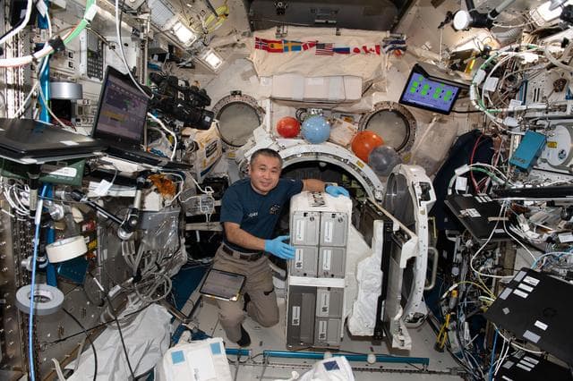 NASA image: iss068e033422