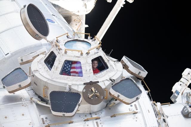 NASA image: iss068e036135