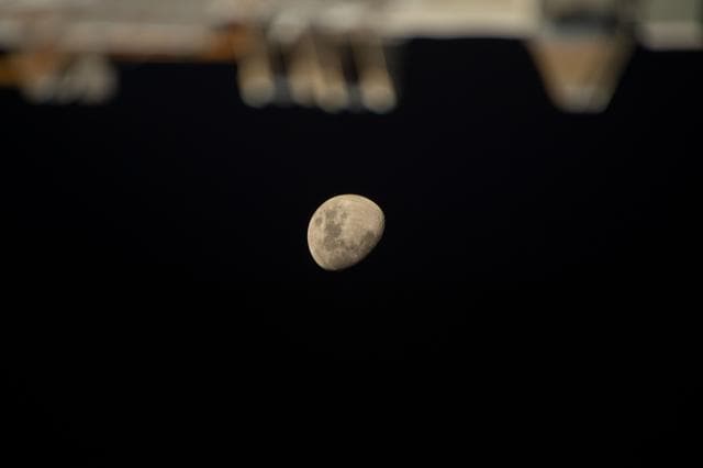 NASA image: iss068e036313