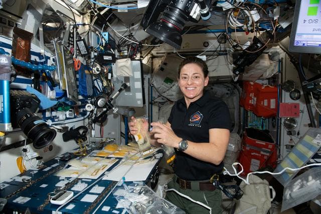 NASA image: iss068e036727