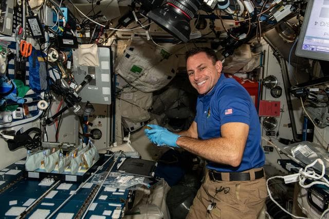 NASA image: iss068e036904