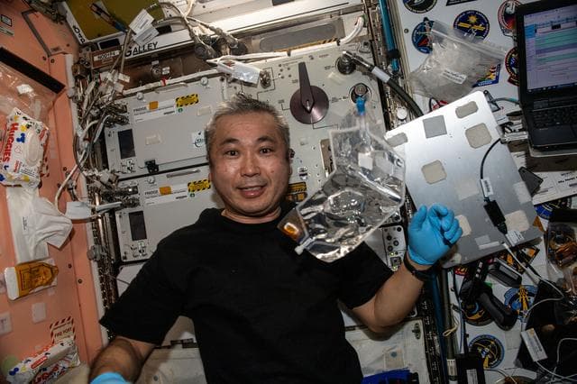 NASA image: iss068e038130