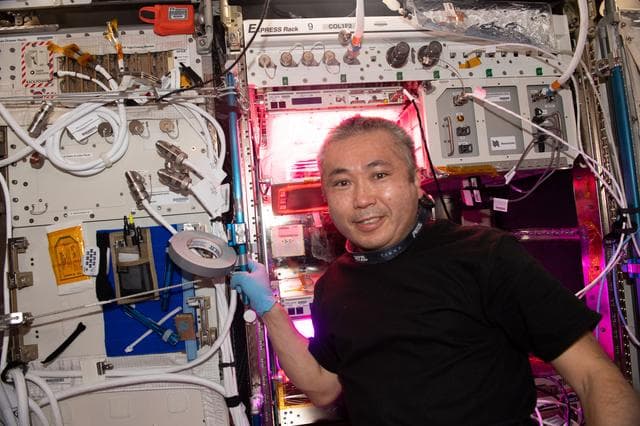 NASA image: iss068e038960