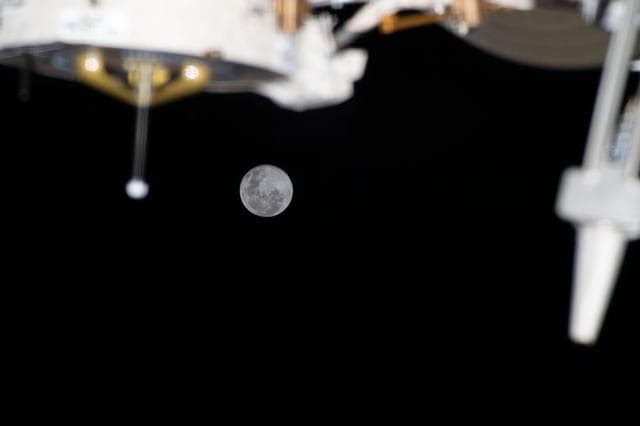 NASA image: iss068e039237