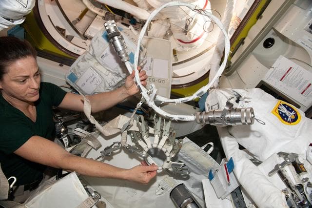 NASA image: iss068e039915
