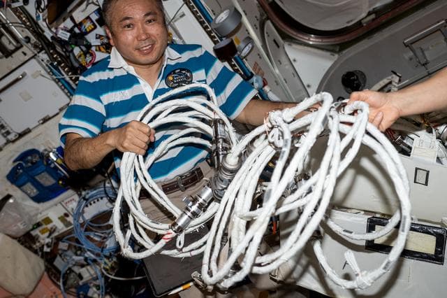 NASA image: iss068e040899
