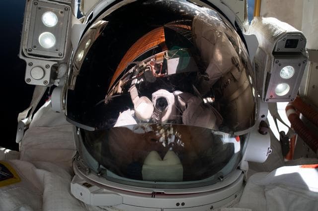 NASA image: iss068e041204