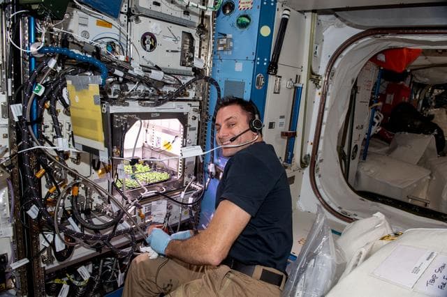 NASA image: iss068e042034