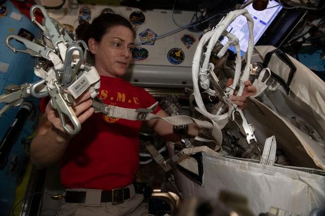NASA image: iss068e043086