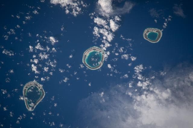 NASA image: iss068e043869