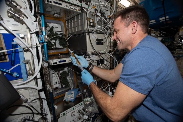 NASA image: iss068e045013