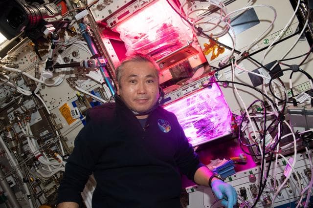 NASA image: iss068e051275