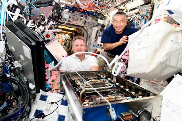 NASA image: iss068e054783