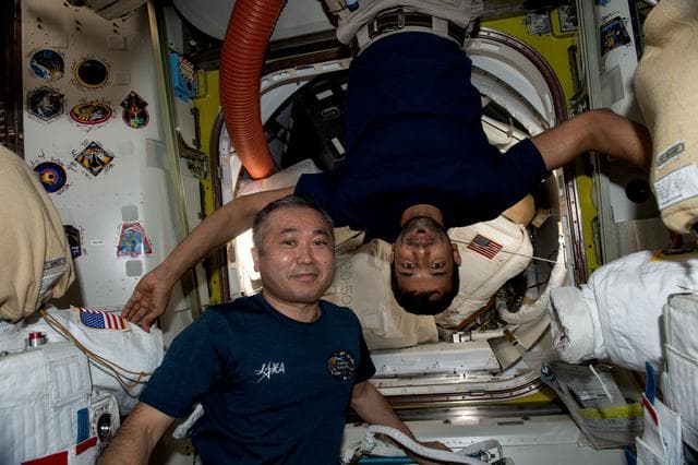 NASA image: iss068e067540
