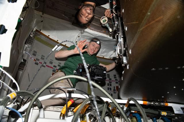 NASA image: iss069e032151