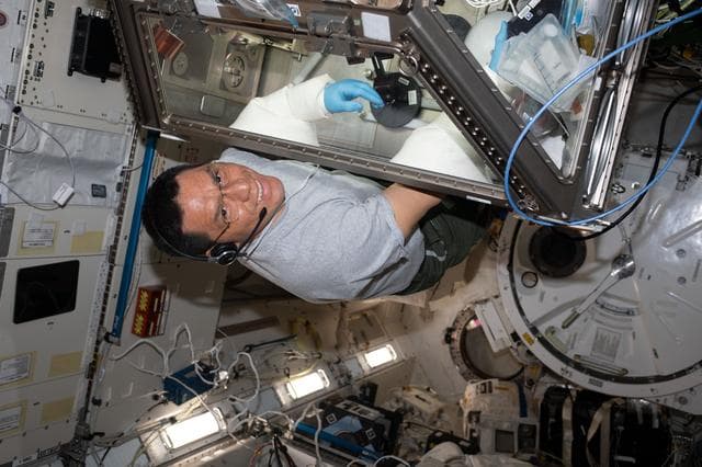 NASA image: iss069e055093