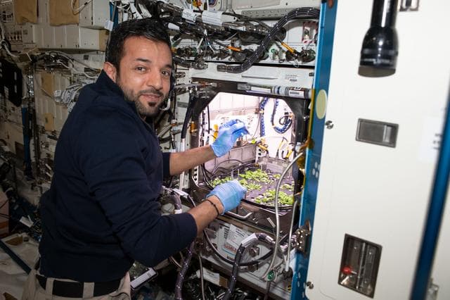 NASA image: iss069e055101
