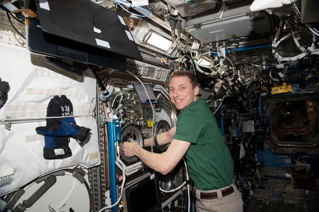 NASA image: iss069e060236