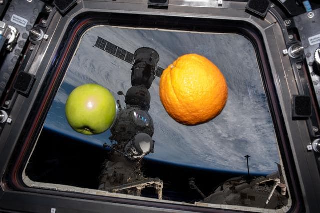 NASA image: iss069e060591