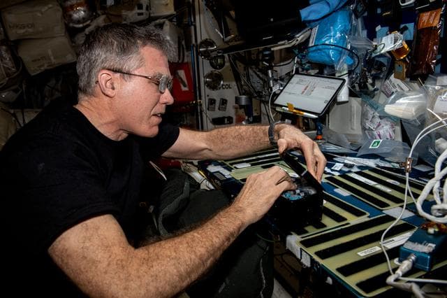 NASA image: iss069e062389