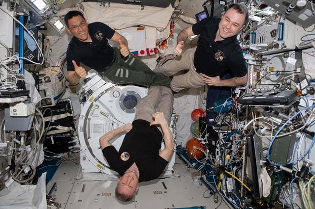 NASA image: iss069e071190
