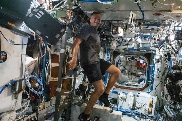 NASA image: iss069e086023
