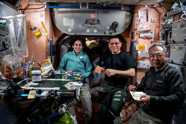 NASA image: iss069e086196