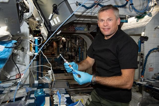 NASA image: iss069e089106_alt