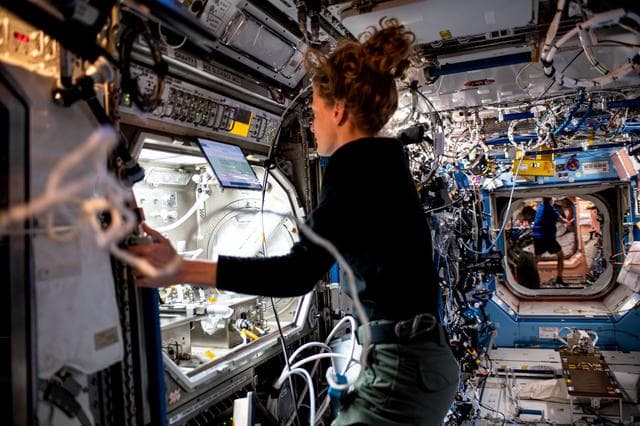 NASA image: iss070e000391