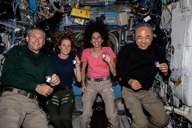 NASA image: iss070e002869