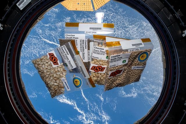 NASA image: iss070e028324