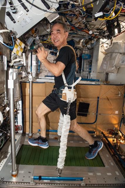 NASA image: iss070e075298