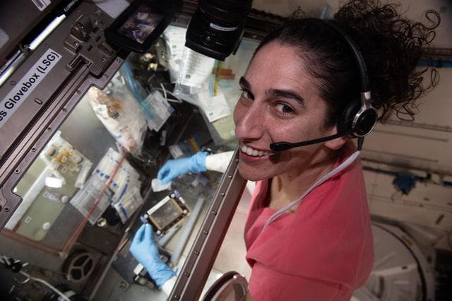 NASA image: iss070e086287